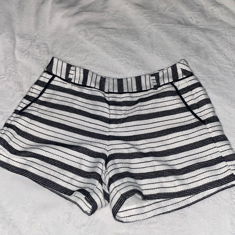 Shorts by ELLE (99)